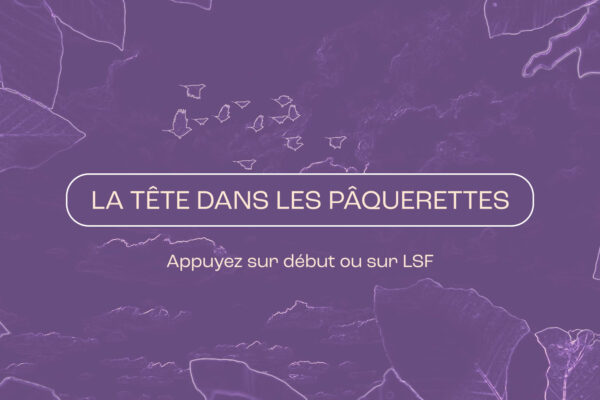 Expo_Jardiner_2025_0000_Tête_paquerettes Expo_Jardiner_2025_0000_Tête_paquerettes