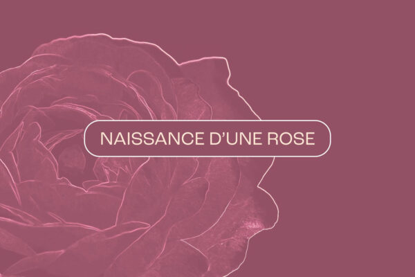 Expo_Jardiner_2025_0005_Naissance_Rose Expo_Jardiner_2025_0005_Naissance_Rose